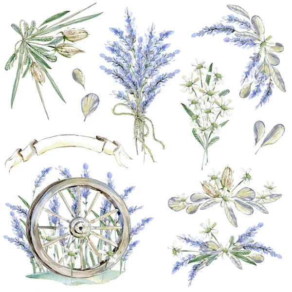 Satz Handgezeichneter Aquarell Cliparts Provence Atmosphäre Lavendel Und Rustikale Vintage — Stockfoto