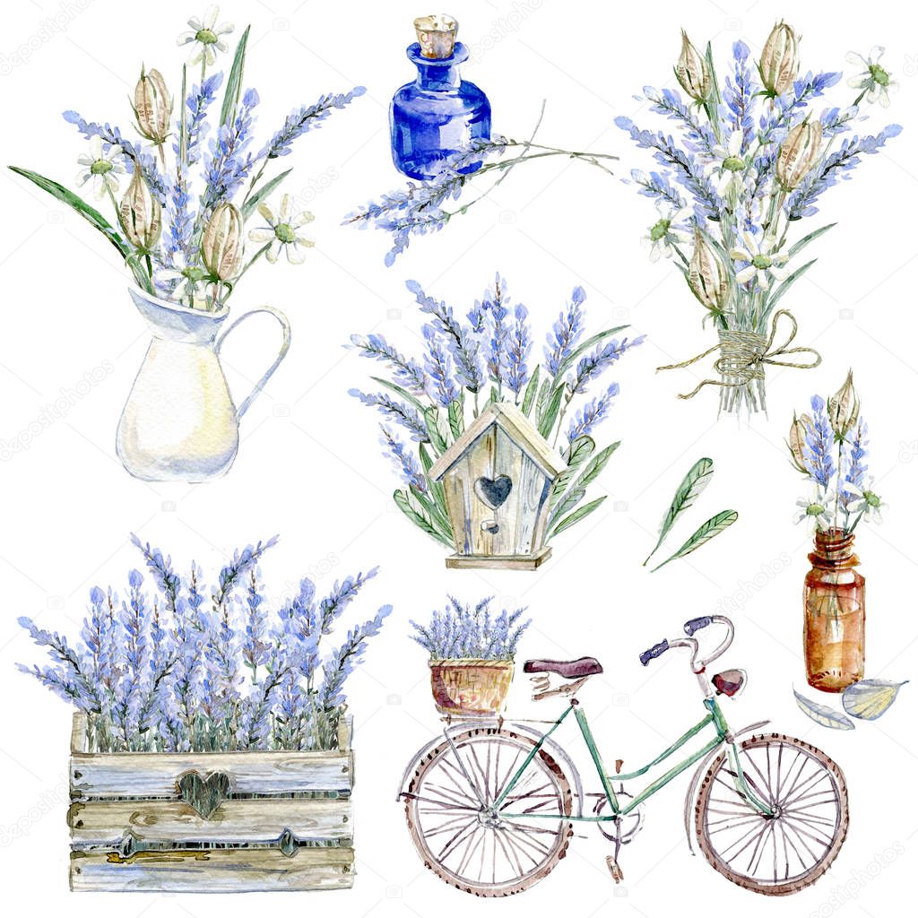 Set of hand drawn watercolor clipart. Provence atmosphere, lavender and rustic vintage illustration.