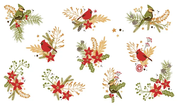 Composiciones decorativas navideñas con plantas tradicionales y bi — Archivo Imágenes Vectoriales