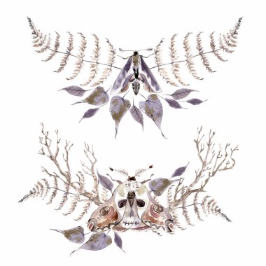 Suluboya mistik kompozisyonlar. Kelebekler ve bitkiler Kahverengi ve menekşe, merkez