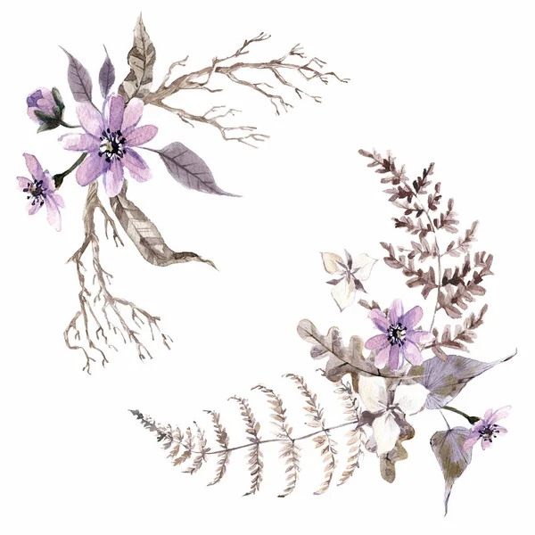 Акварельные Мистические Композиции Цветы Растения Коричневый Фиолетовый Угол — стоковое фото