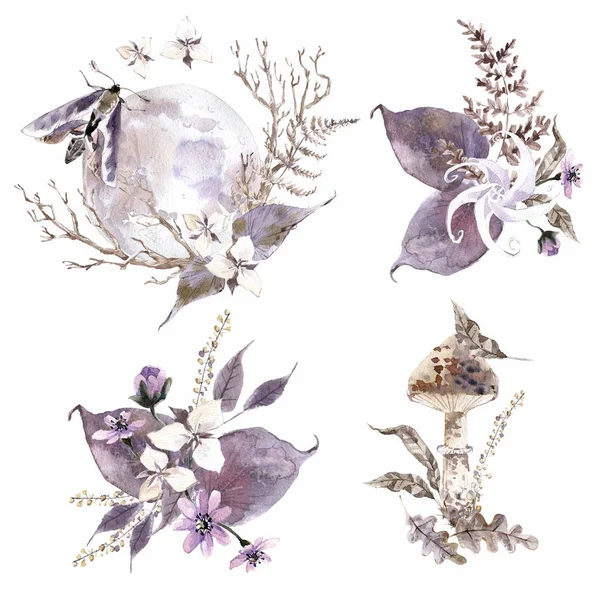 Aquarel Mystieke Composities Bloemen Vlinder Maan Planten Bruin Violet Collectie — Stockfoto