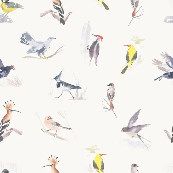 Wzór Bezszwowy Akwarela Różnych Ptaków Ręcznie Rysowane Ilustracje — Zdjęcie stockowe