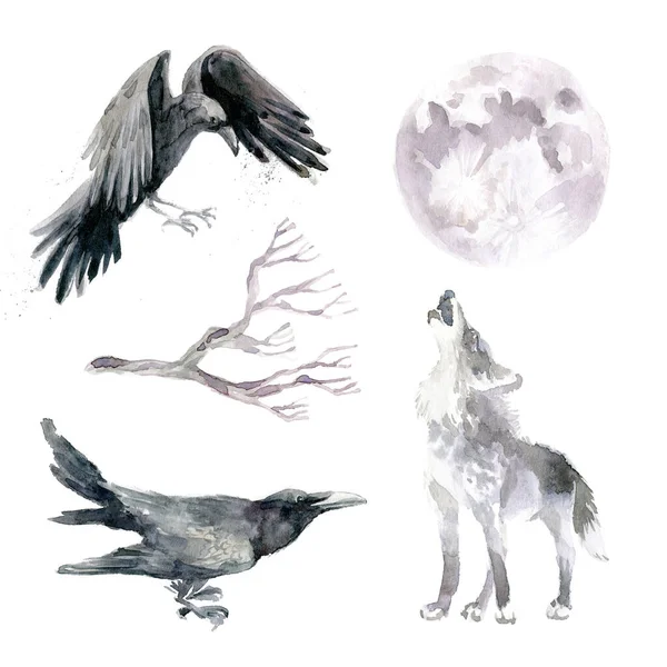 Coleção Clipart Sombrio Aquarela Lobo Selvagem Lua Cheia Corvos Mão — Fotografia de Stock