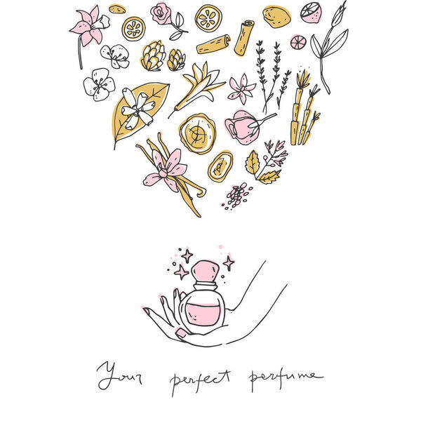 Духи рецепт, бутылка и ингредиенты. Дудл-векторная иллюстрация. Простой ручной рисунок
.