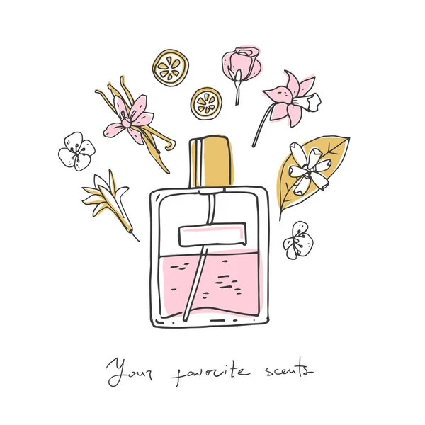 Parfum Recept Fles Ingrediënten Doodle Vector Illustratie Eenvoudige Handgetekende Stijl — Stockvector