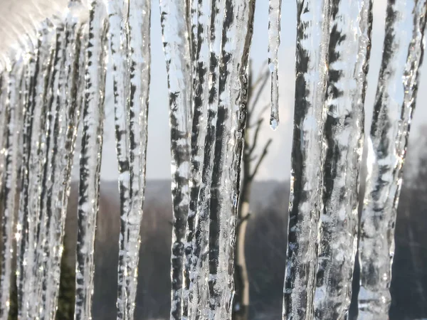 冰柱在冬天 — 图库照片