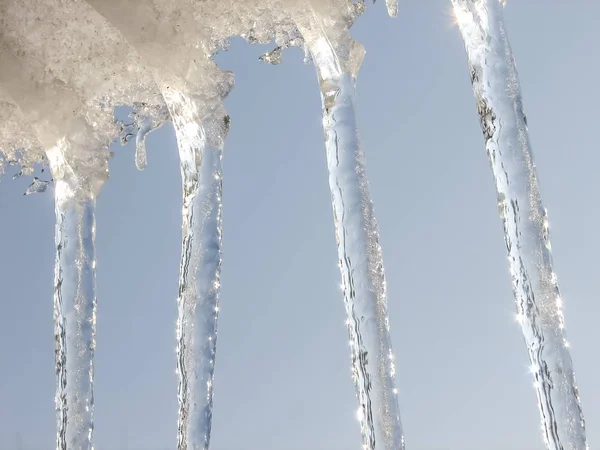 Icicles no inverno — Fotografia de Stock