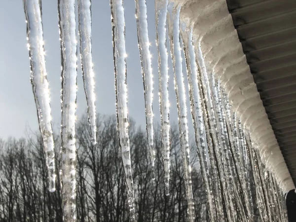 Eiszapfen im Winter — Stockfoto