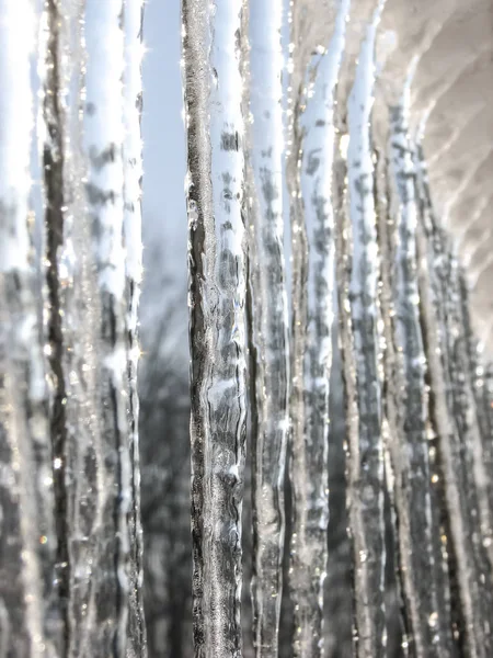 Eiszapfen im Winter — Stockfoto