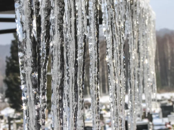 icicles at winter