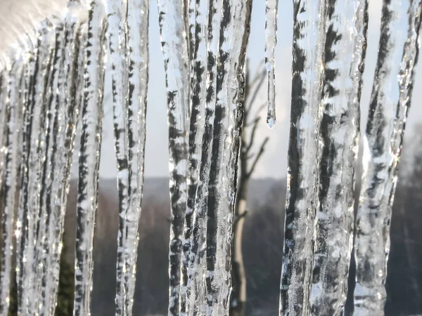 Istappar på vintern — Stockfoto