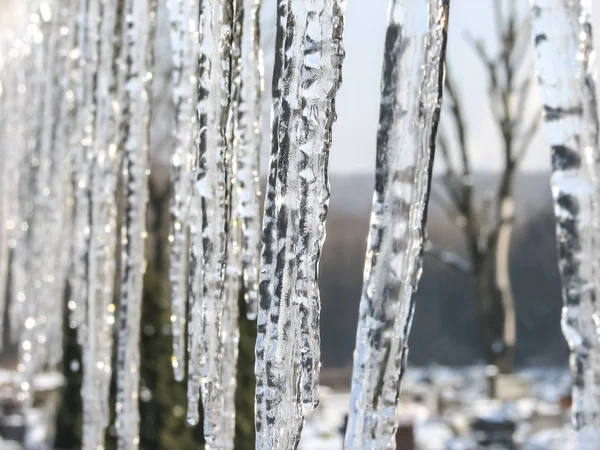 Jégcsapok, tél — Stock Fotó
