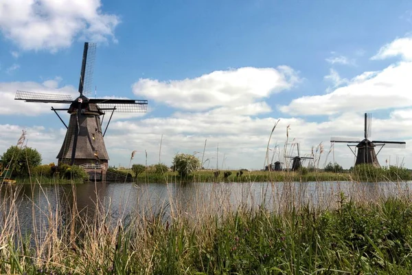 Hollanda 'daki Mills.