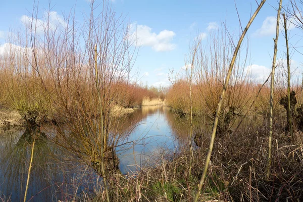 Hollandalı bir waterland üzerinden bir görünüm.