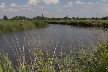 Bir Hollandalı peyzaj üzerinde güzel bir görünüm.