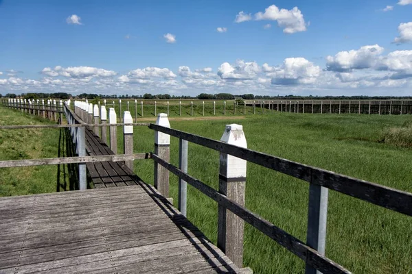 A view over a Dutch polder in the north east of the Netherlands.