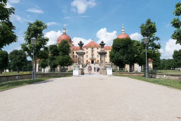 Almanya 'daki Moritzburg şatosunun limanı..