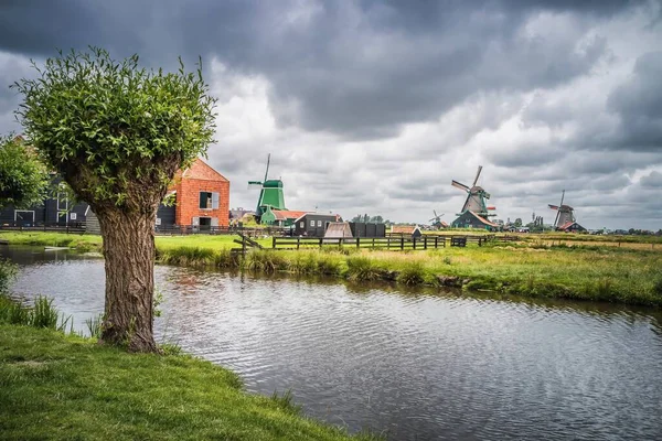 Esta Una Foto Molinos Viento Oeste Los Países Bajos Con — Foto de Stock