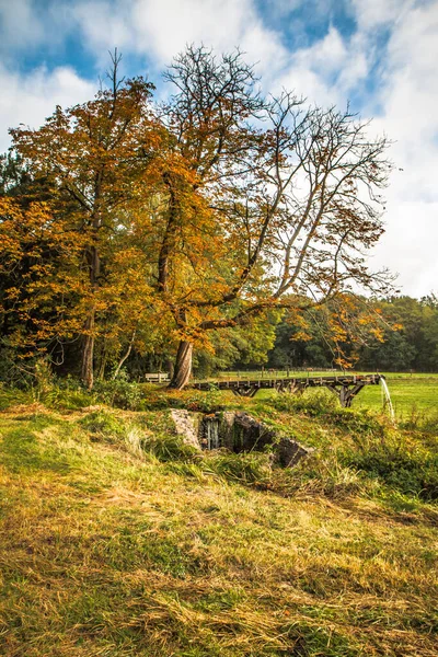 Een landschap bij de stad Oosterbeek in Nederland. — Stockfoto