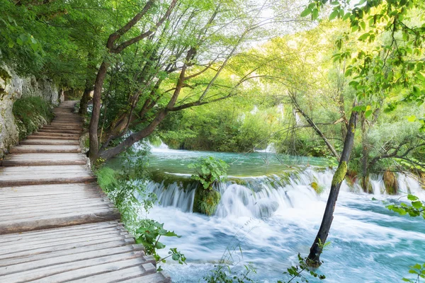 Plitvice gölleri Milli Parkı turist yolunda yakınındaki Cascades — Stok fotoğraf