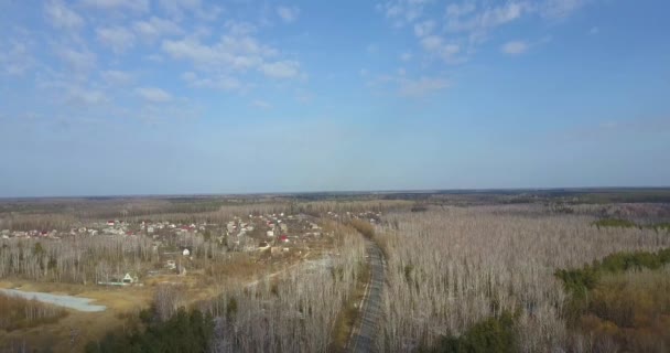 Carretera con coches en el bosque. Vista aérea — Vídeo de stock