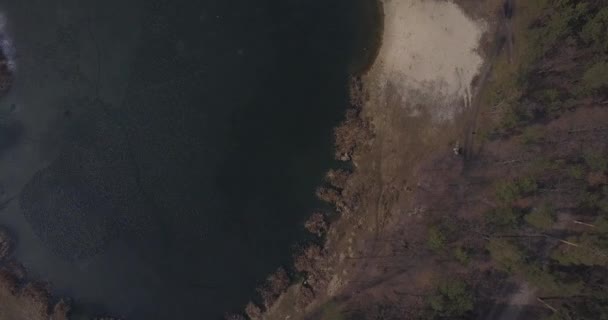 Şehir Parkı ile donmuş göl üzerinde havadan görünümü — Stok video