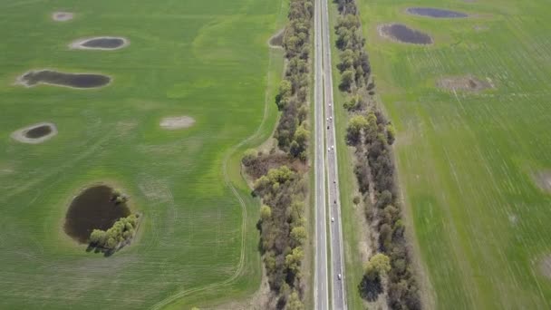 Estrada e campo verde — Vídeo de Stock