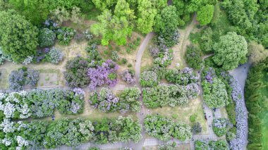 Ciry park kuş bakışı leylak üzerinde