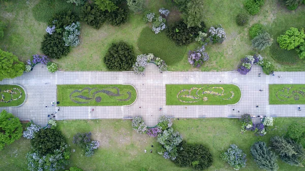 Ciry park kuş bakışı leylak üzerinde — Stok fotoğraf