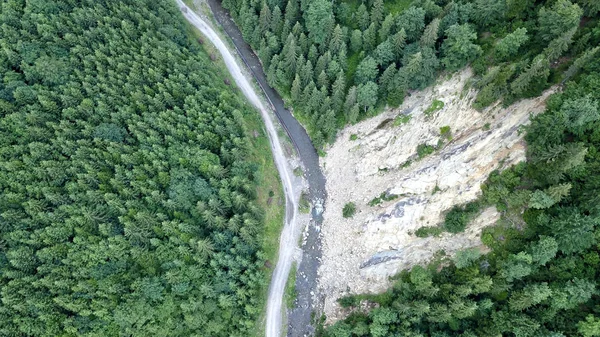 Pines ve yol Üstten Görünüm