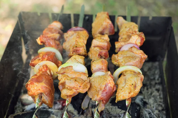 açık havada Barbekü yemek
