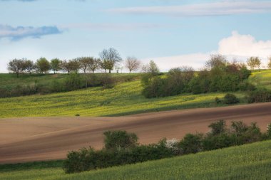 South Moravia, Csezh Cumhuriyeti yeşil dalgalı tepeler