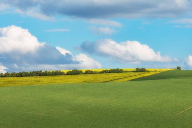 South Moravia, Csezh Cumhuriyeti yeşil dalgalı tepeler