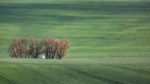 南モラヴィア州、Csezh 共和国の緑の波状丘陵 — ストック写真