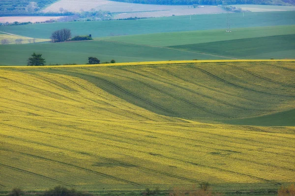 Colinas onduladas verdes en Moravia del Sur, República de Csezh — Foto de Stock