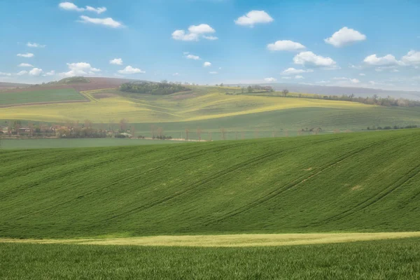 Зеленые волнистые холмы Южной Моравии — стоковое фото