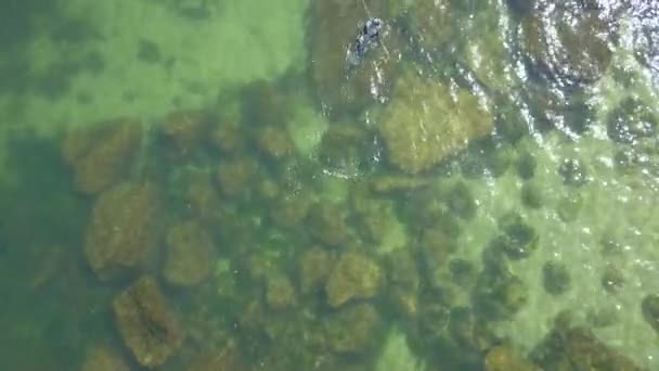 Вид Дрона Море Водолаз — стокове відео