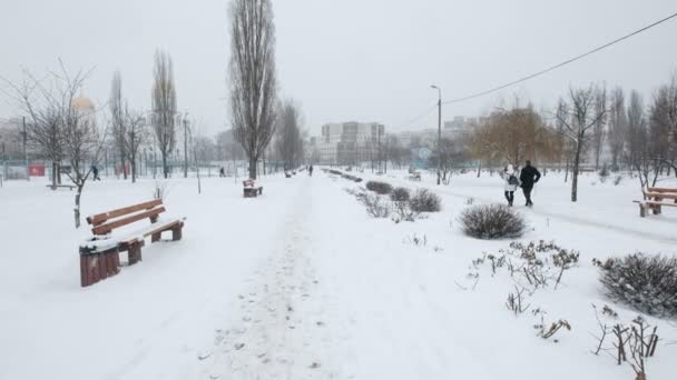 Πάρκο Της Πόλης Κατά Διάρκεια Μια Χιονόπτωση — Αρχείο Βίντεο