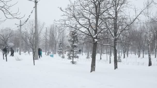 Stadspark Tijdens Een Sneeuwval — Stockvideo