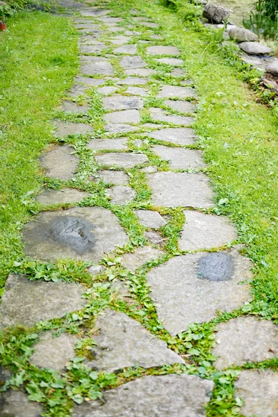 Pavimento de pedra com grama brotou entre as pedras, telhas sem costura textura style.soft foco . — Fotografia de Stock