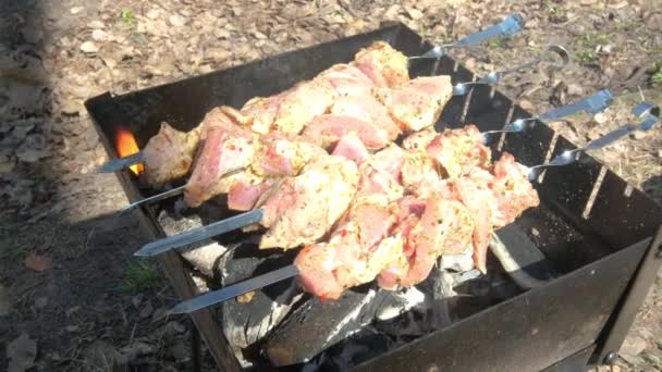 Nahaufnahme Des Menschen Essen Grillen Auf Dem Grill — Stockvideo