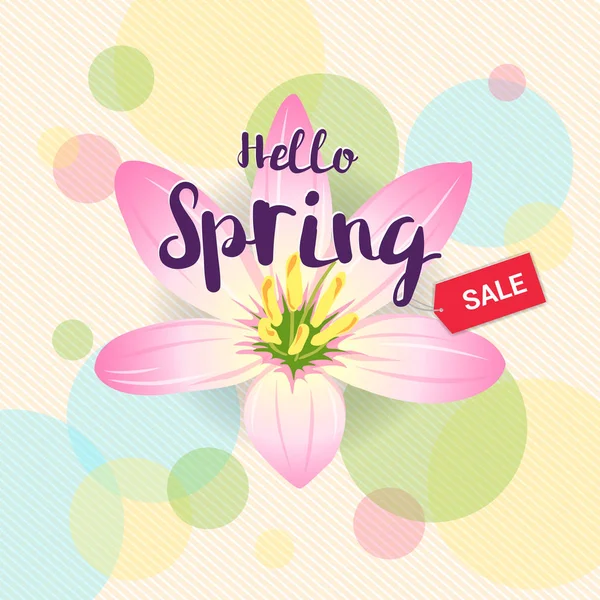 Floral spring with pink flower and colorful background — Stock Vector