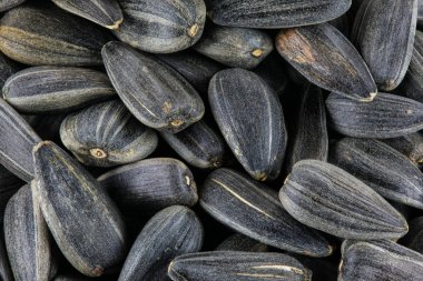 Ayçiçeği tohumu doku veya arka plan. Makro çekim yığın teknoloji aracılığıyla yapılır