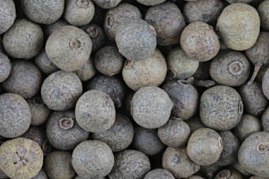 Biber tohumu doku veya arka plan. Makro çekim yığın teknoloji aracılığıyla yapılır