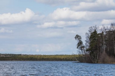 Lake forest bir gökyüzü. Açık güneşli bahar manzara veya sahne
