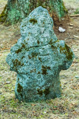 Mezarlıktaki yeşil çimlerin arasında yosun ve yosunla kaplı eski Hıristiyan mezarı haçı.