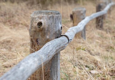 Eski el yapımı ahşap çitleri olan kırsal alan ya da sonbaharda ya da ilkbaharda çit ya da ağaçların, eski çimenlerin ve yaprakların arasında orman.