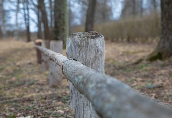 Eski el yapımı ahşap çitleri olan kırsal alan ya da sonbaharda ya da ilkbaharda çit ya da ağaçların, eski çimenlerin ve yaprakların arasında orman.