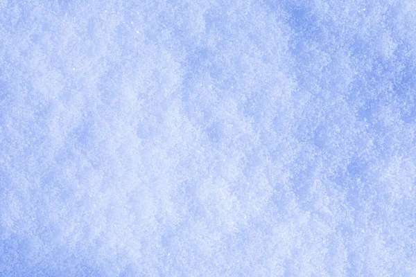 Kar ve buz kristal arka plan veya doku Rus Park orman. Drift beyaz kar yüzeyi